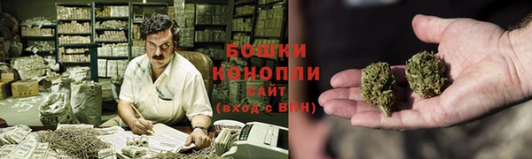 ГАЛЛЮЦИНОГЕННЫЕ ГРИБЫ Верхний Тагил