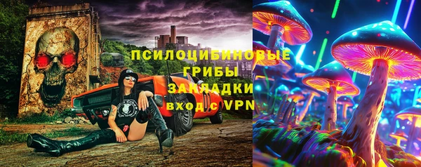 ГАЛЛЮЦИНОГЕННЫЕ ГРИБЫ Верхний Тагил