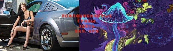 ГАЛЛЮЦИНОГЕННЫЕ ГРИБЫ Верхний Тагил