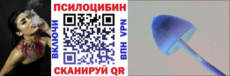Галлюциногенные грибы MAGIC MUSHROOMS  Купить  Дорогобуж 